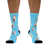 This Pup's 4 U Socks - Pet Prints - Spencer #1013