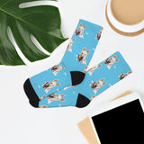 This Pup's 4 U Socks - Pet Prints - Spencer #1013